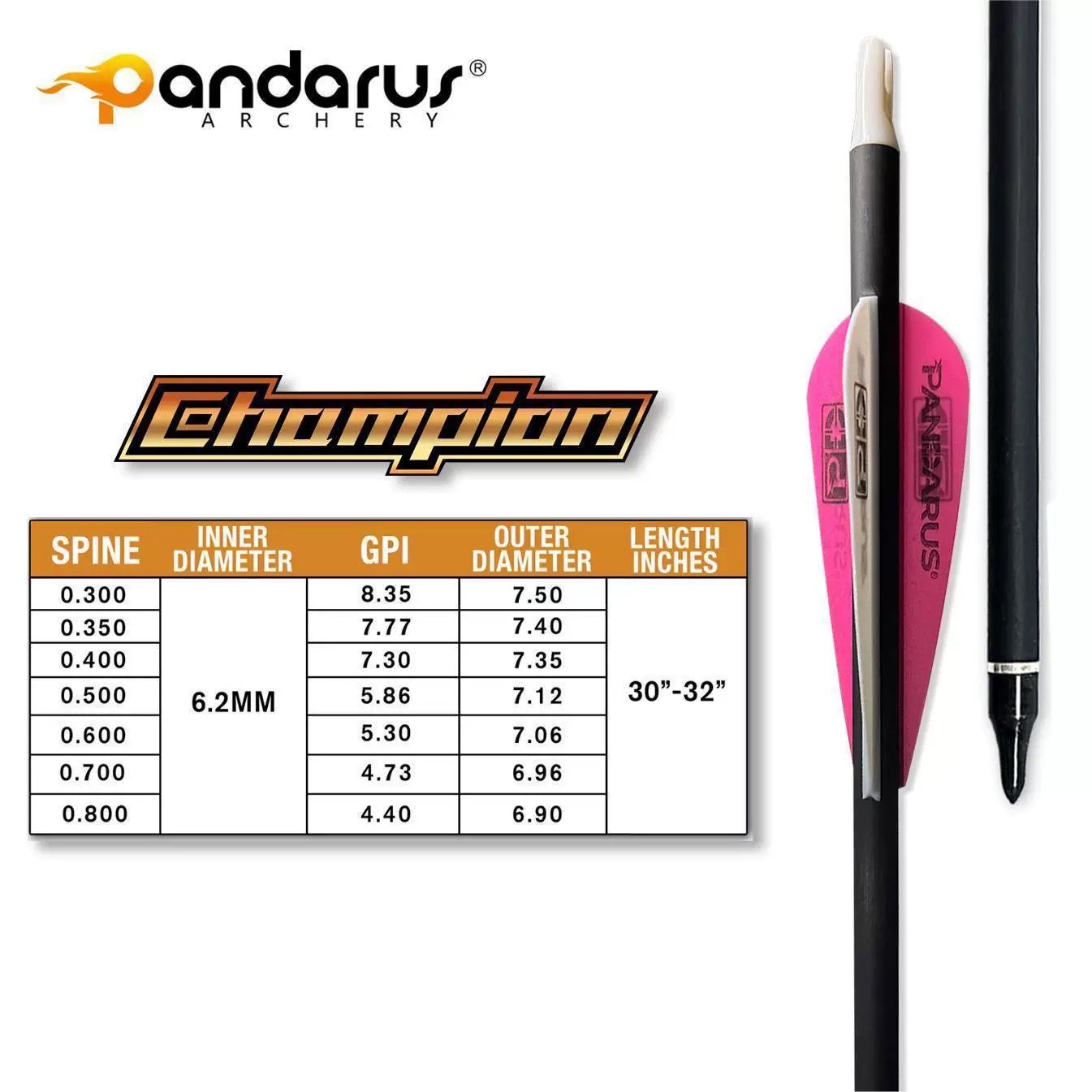 ストレートネス0.001 パンダルスチャンピオン ピュアカー - Arrow Carbon Shaft のレビューと価格